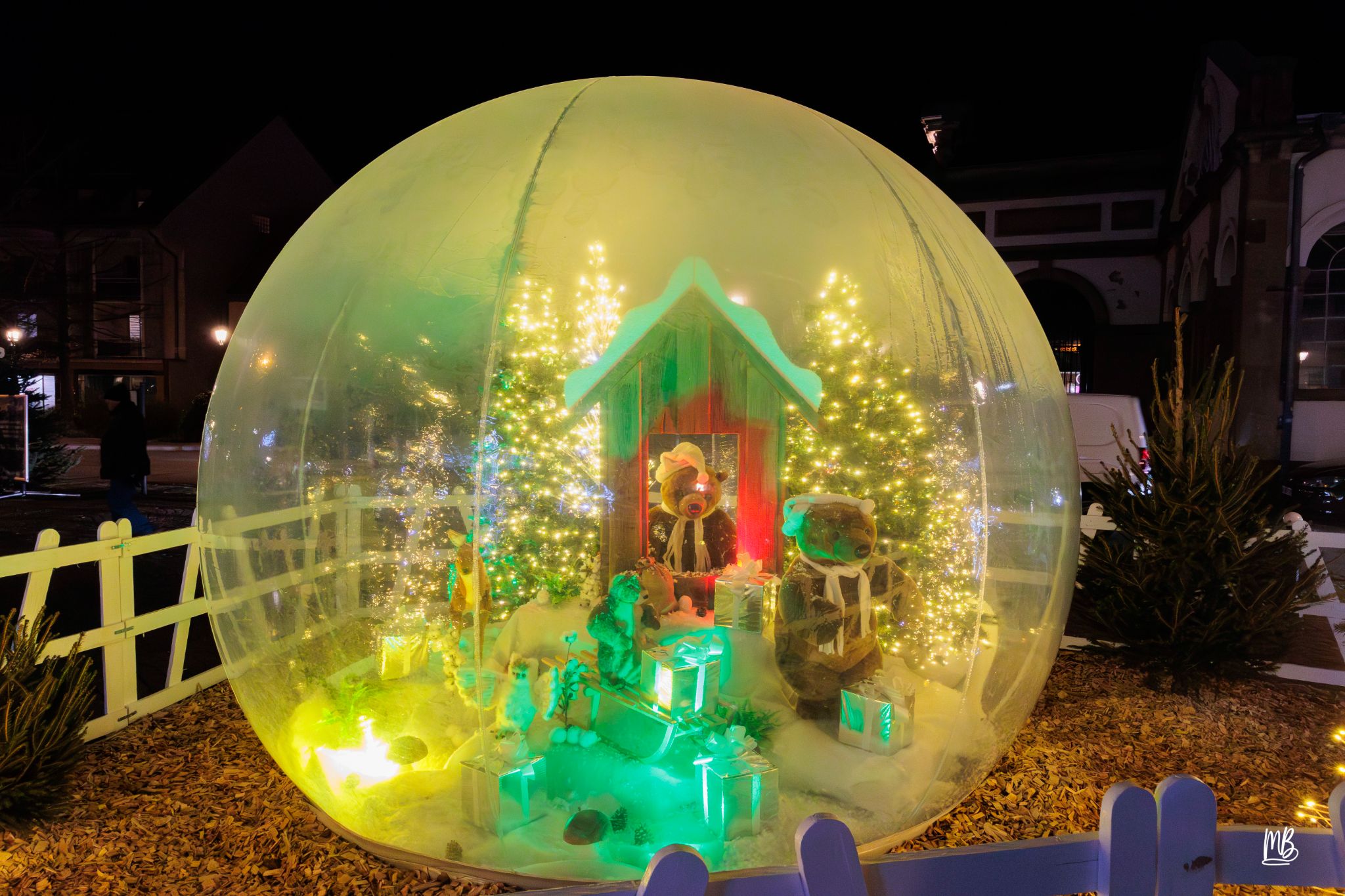 20241129 Noël à Haguenau MB (111 sur 114)